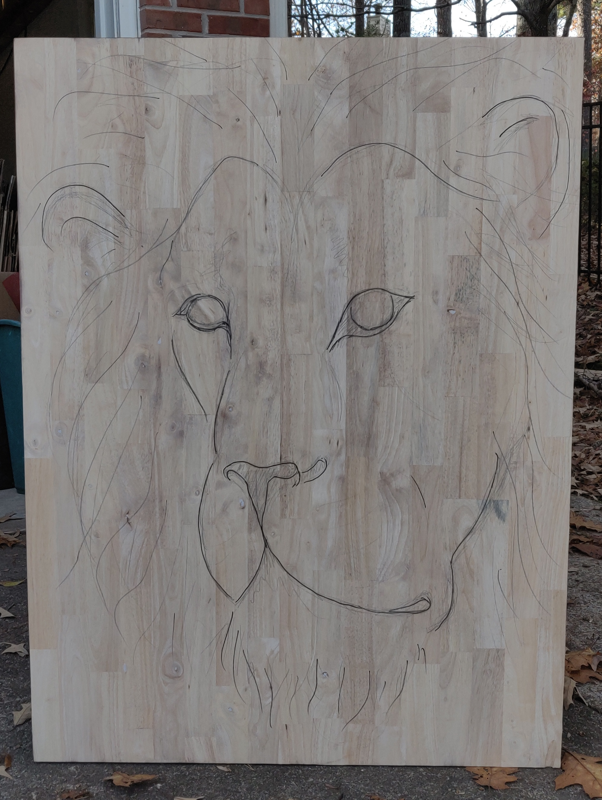 Lion head sketched!